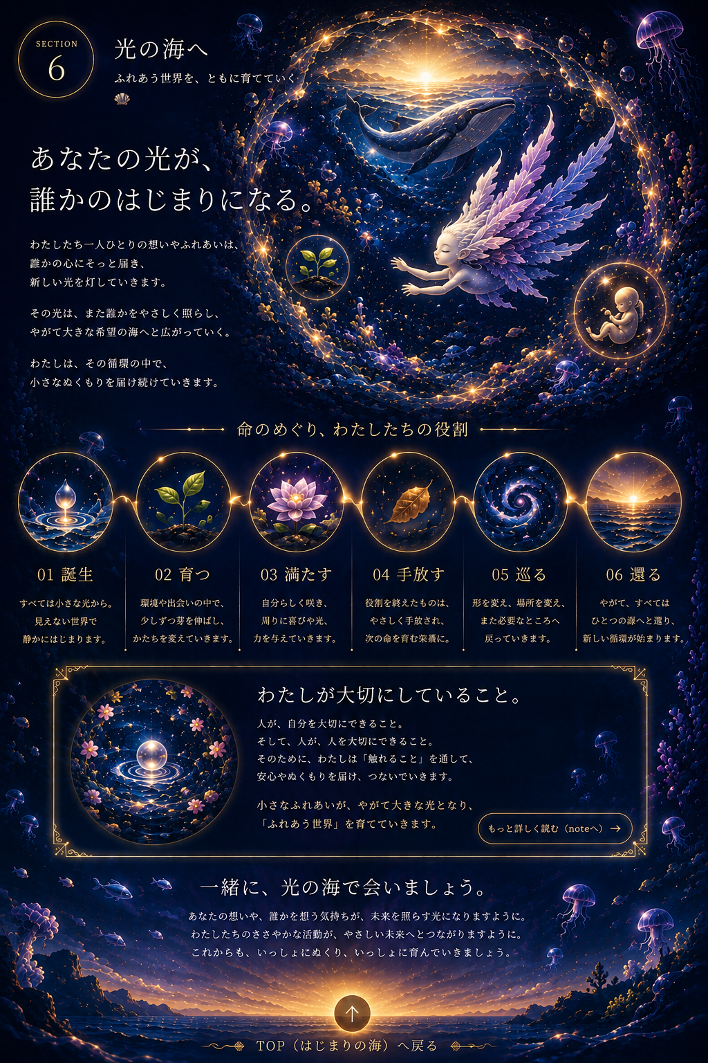 SECTION 6 光の海へ